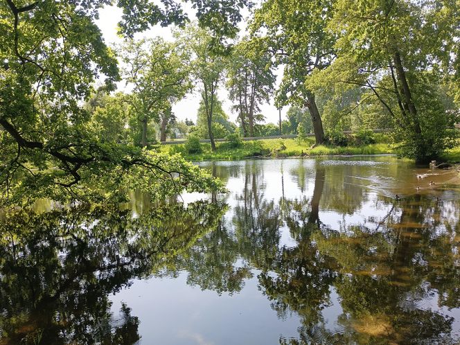 Parki podworskie w powiecie gdańskim