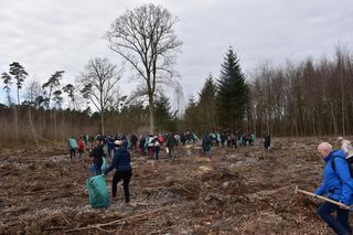Las Pamięci w Marchwaczu