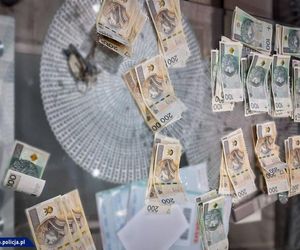 „Śledź” i jego banda trafią do puszki. Zapadł wyrok w sprawie narkotykowego gangu