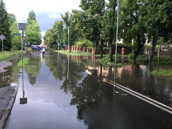 Powalone drzewa, zalania, wstrzymany ruch tramwajów: dramatyczny bilans orkanu nad Śląskiem