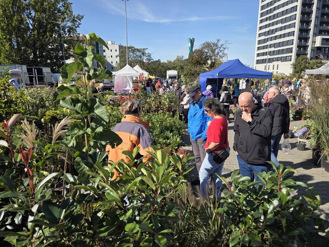 Jesienny Kiermasz Ogrodniczy w Bydgoszczy przyciągnął miłośników zieleni i smakołyków!