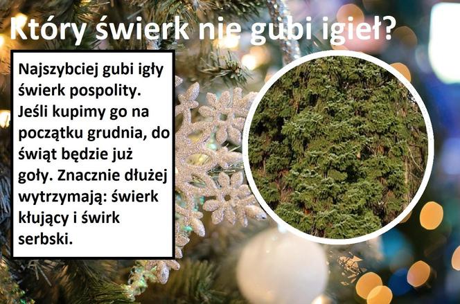 Odpowiadamy na pytania