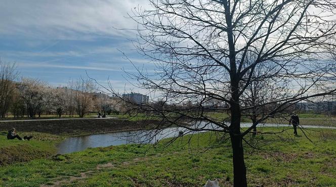 Miasto chwali się Parkiem Krzyckim. Na hucznym otwarciu mieszkańcy zastali plac budowy 