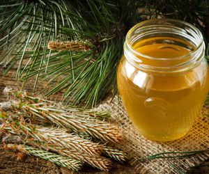 Syrop z pędów sosny - przepis na cudowny lek na przeziębienie i suchy kaszel 