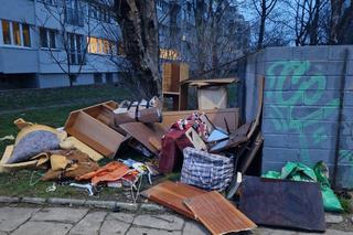 Dzikie śmietnisko w centrum Wrocławia. Mieszkańcy osiedla: Żyjemy w chlewie 