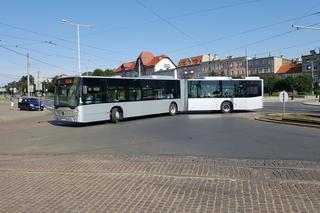 Pierwszy kurs autobusu przegubowego w Grudziądzu