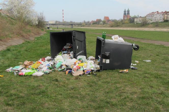 Część pojemników na śmieci zostało przewróconych.