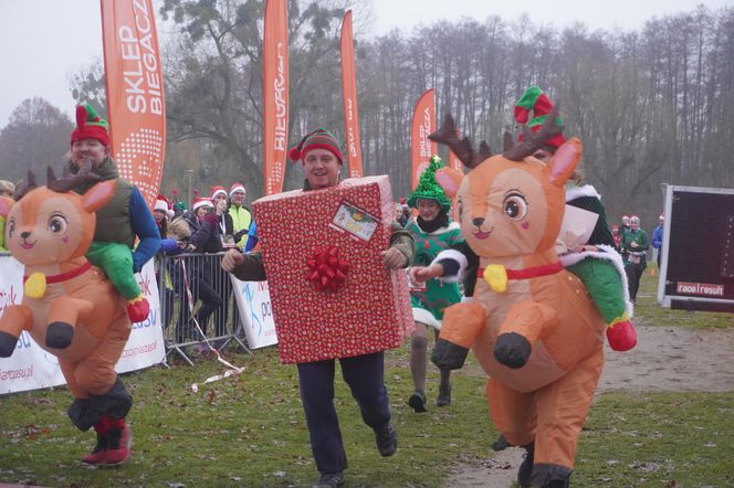 11. Bieg Mikołajkowy nad Jeziorem Strzeszyńskim w Poznaniu