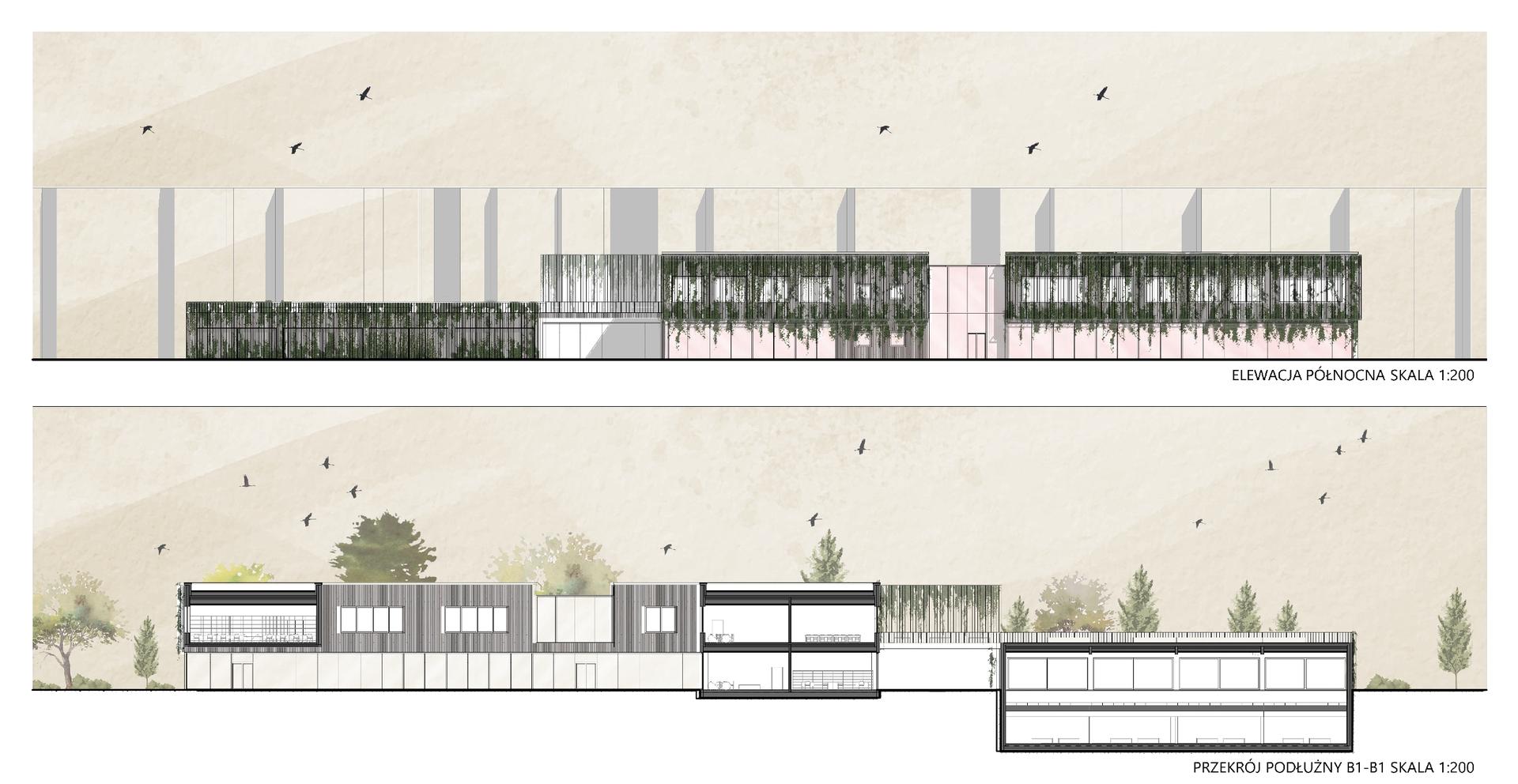 Koncepcja szkoły podstawowej jako przykład obiektu, który buduje świadomość ekologiczną od najmłodszych lat