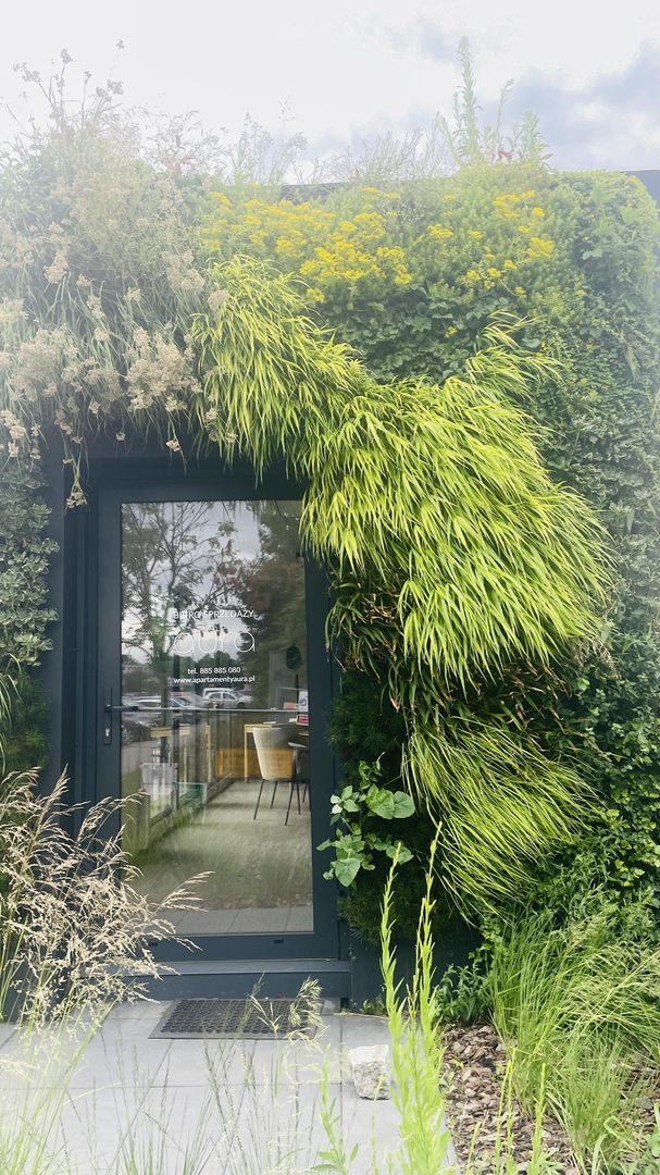 Zielona ściana - biuro sprzedaży Aura