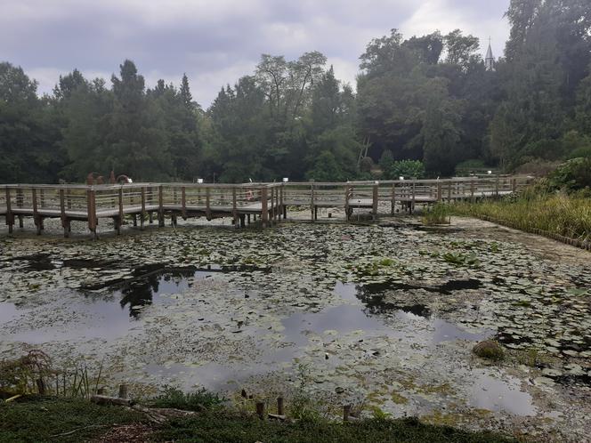 Arboretum Bolestraszyce