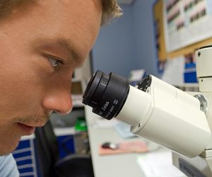 Nadchodzi Noc Biologów! Także w Lublinie nie zabraknie atrakcji