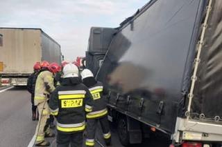 Zderzenie Busa z ciężarówką na S7! Kierowca samochodu dostawczego w szpitalu