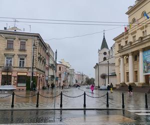 Pierwszy śnieg w tym sezonie! Lublin jest ukryty pod zimową pierzynką 