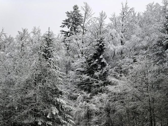 Pierwszy śnieg w Bieszczadach