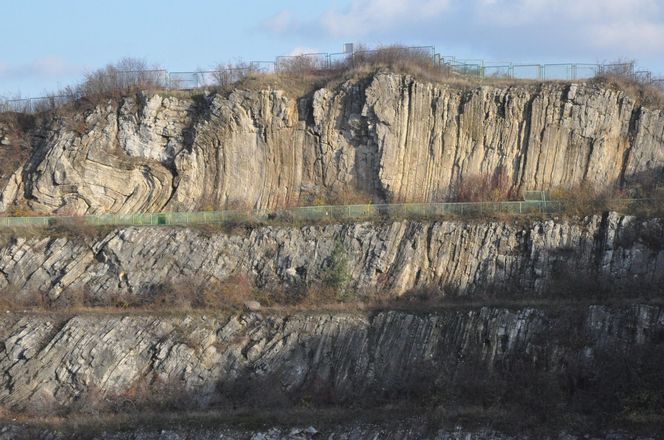 Rezerwat Ślichowice w Kielcach