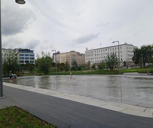 Park centralny w Gdyni. Atrakcje dla dzieci i dorosłych