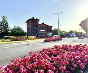 Starachowice. To najbardziej ukwiecone miasto świętokrzyskiego