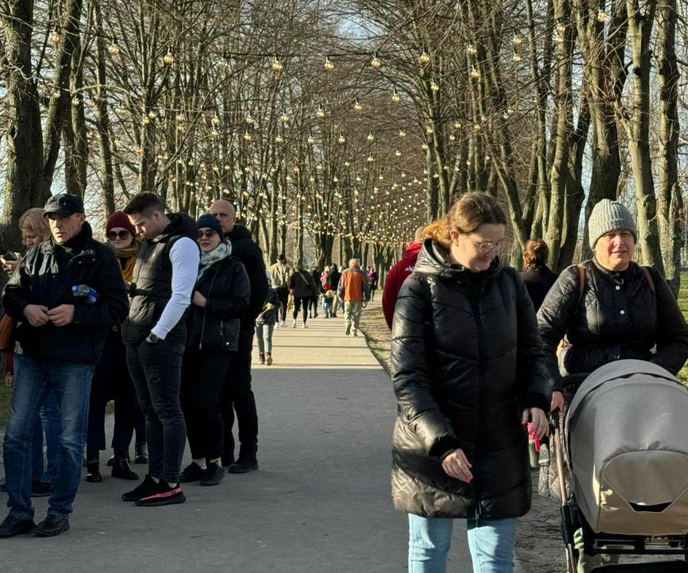 Z takiej pogody żal nie skorzystać. Nad Zalewem Zamborzyckim tłum spacerowiczów! [GALERIA]