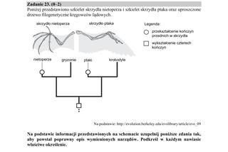 Matura 2019 z biologii [ARKUSZE CKE, ODPOWIEDZI]