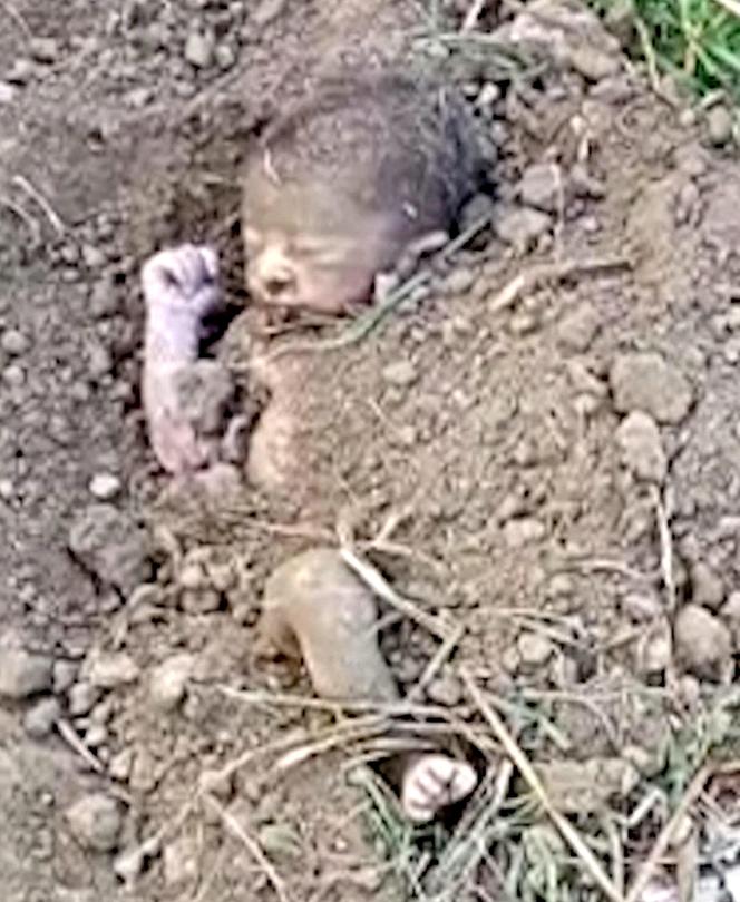 Było w grobie, cudem przeżyło