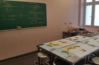 Drzwi Otwarte w Collegium Medicum UMK