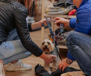 Już 11 października wraca PsieFajny Dzień w Alei Bielany! Wykłady, sesje foto i atrakcje dla psiarzy