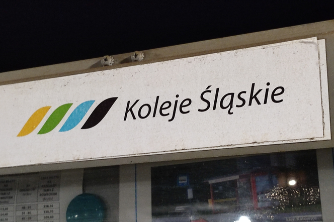 Poważna awaria na Śląsku. Pociągi stanęły, paraliż na dworcu