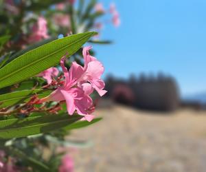 Lesvos - wakacje na wyspie Safony