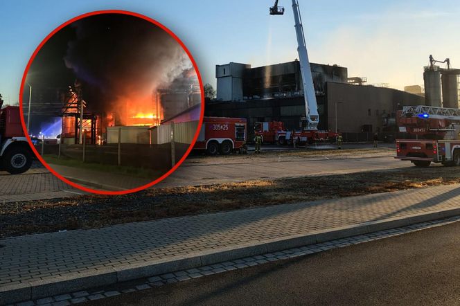 Pożar hali w Szczecinie