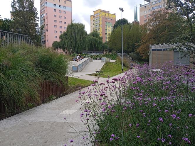 Park centralny w Gdyni. Atrakcje dla dzieci i dorosłych