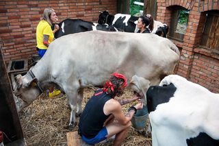 Farma 4: nikt nie ma już wątpliwości. To nowi faworyci do zwycięstwa