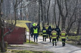 Trwają poszukiwania zaginionej 73-latki z Łowiec. W akcji śmigłowiec, drony i quady 