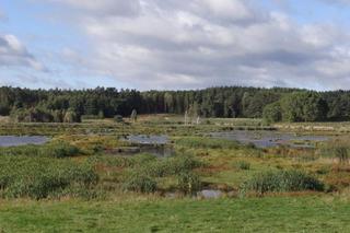   Nowy rezerwat przyrody w warmińsko-mazurskim. Jezioro Mścin zapiera dech w piersiach! [ZDJĘCIA]