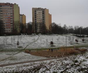 Styczniowy spacer po Kalinowszczyźnie