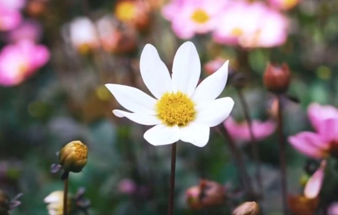 Marta i Karol Nawroccy zapraszają na Narodowe Czytanie