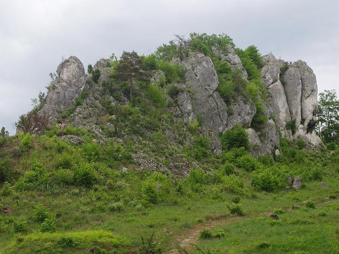 Karpacz atrakcje. Co tu zobaczyć? Nie tylko Śnieżka