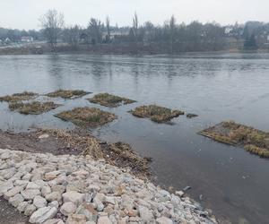 Przebudowa grobli na starachowickim Pasterniku