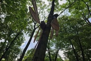 Wiklinowe miasteczko w Rudniku nad Sanem [GALERIA]