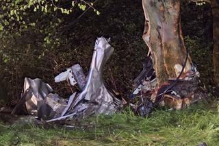 Śmiertelny wypadek pod Gostyniem. Opel i peugeot 18-latków roztrzaskały się o drzewo [ZDJĘCIA]