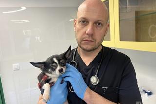 Ania z guzem ściągnięta z frontu