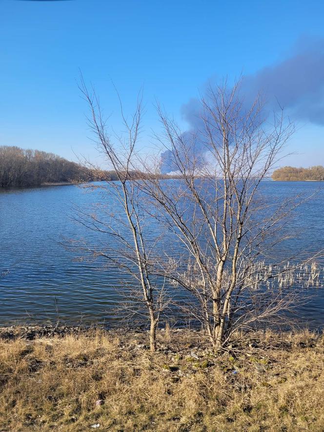 Pożar hali w Broniewicach koło Inowrocławia