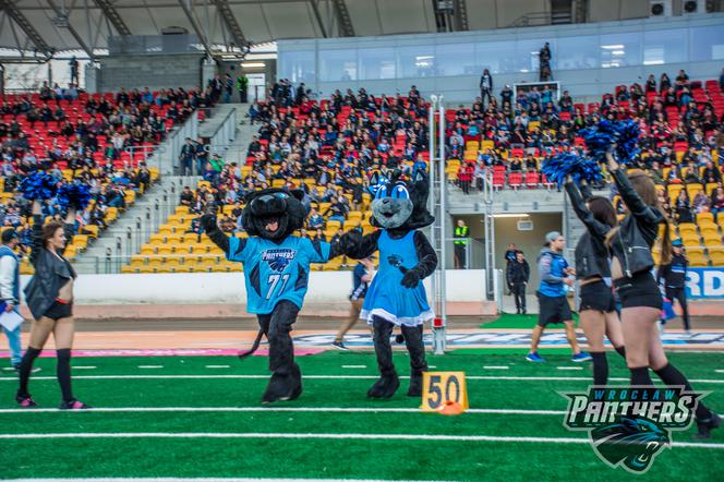 Pantery wygrywają na Stadionie Olimpijskim