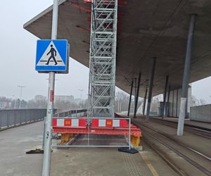 Tak wygląda uszkodzony dach nad przystankiem tramwajowym we Wrocławiu. Miasto zabezpiecza go ogromnymi podporami 