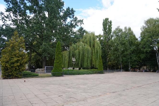 Plac Mordechaja Tenenbauma. To część Skweru przy Żabiej w Białymstoku