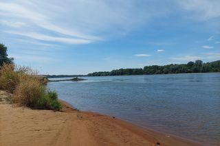 Z Bydgoszczy prosto do dzikiej puszczy w 10 minut!  Jak dotrzeć do Wielkiej Kępy i co tam zobaczyć?