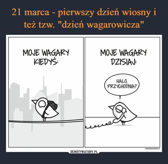 Pierwszy Dzień Wionsy - memy
