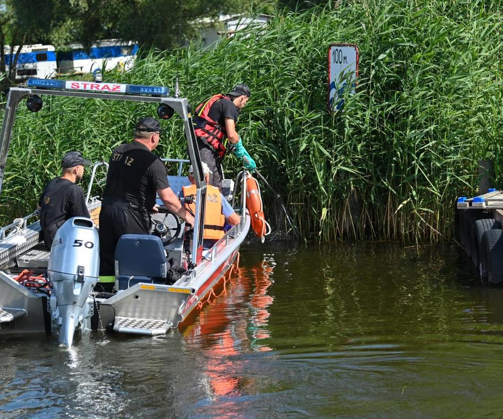 Jezioro Dąbie i śnięte ryby 