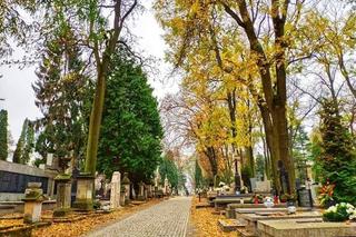 Lublin - cmentarz przy ul. Lipowej perłą zabytkową Polski