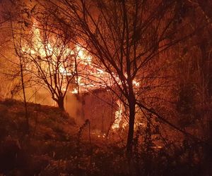 Lublin. Tragiczny pożar pustostanu. Trzy osoby nie żyją [ZDJĘCIA].